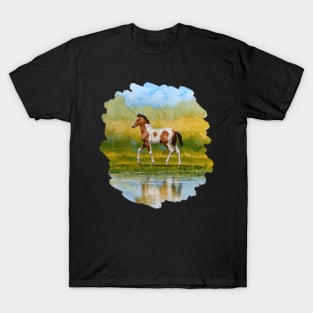 Cute Bay Pinto Foal Horse T-Shirt